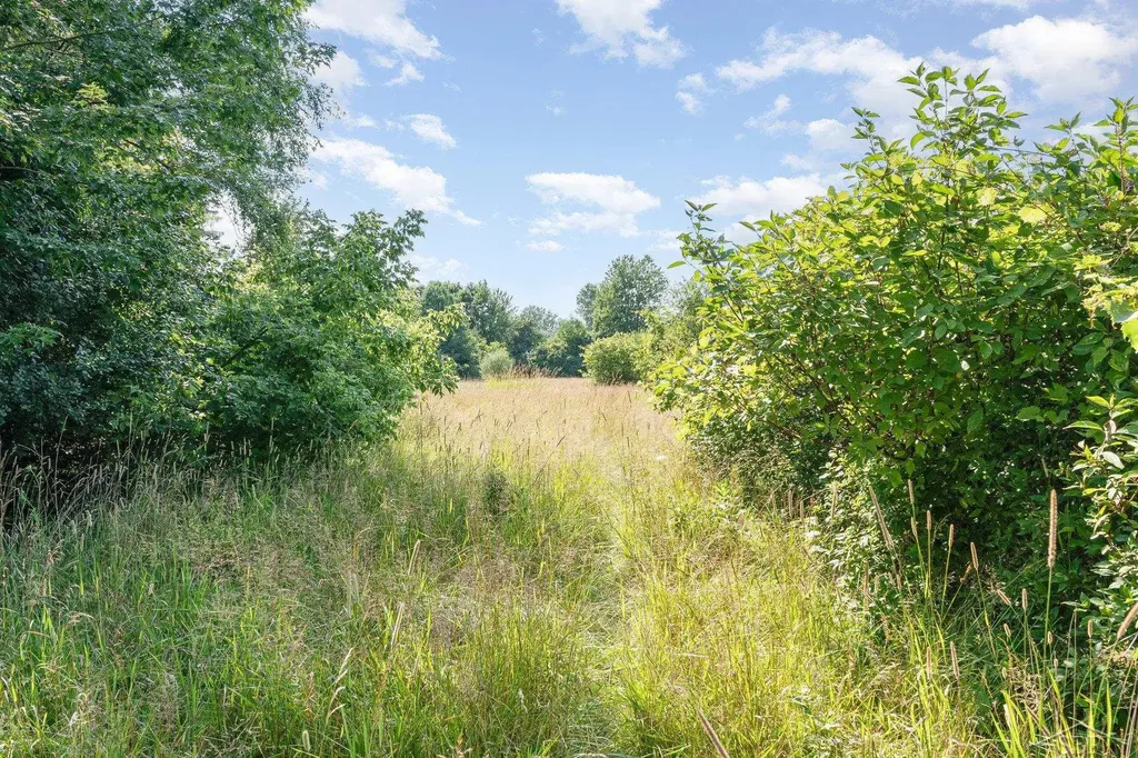 Kenora Drive Kochville Township MI 48604
