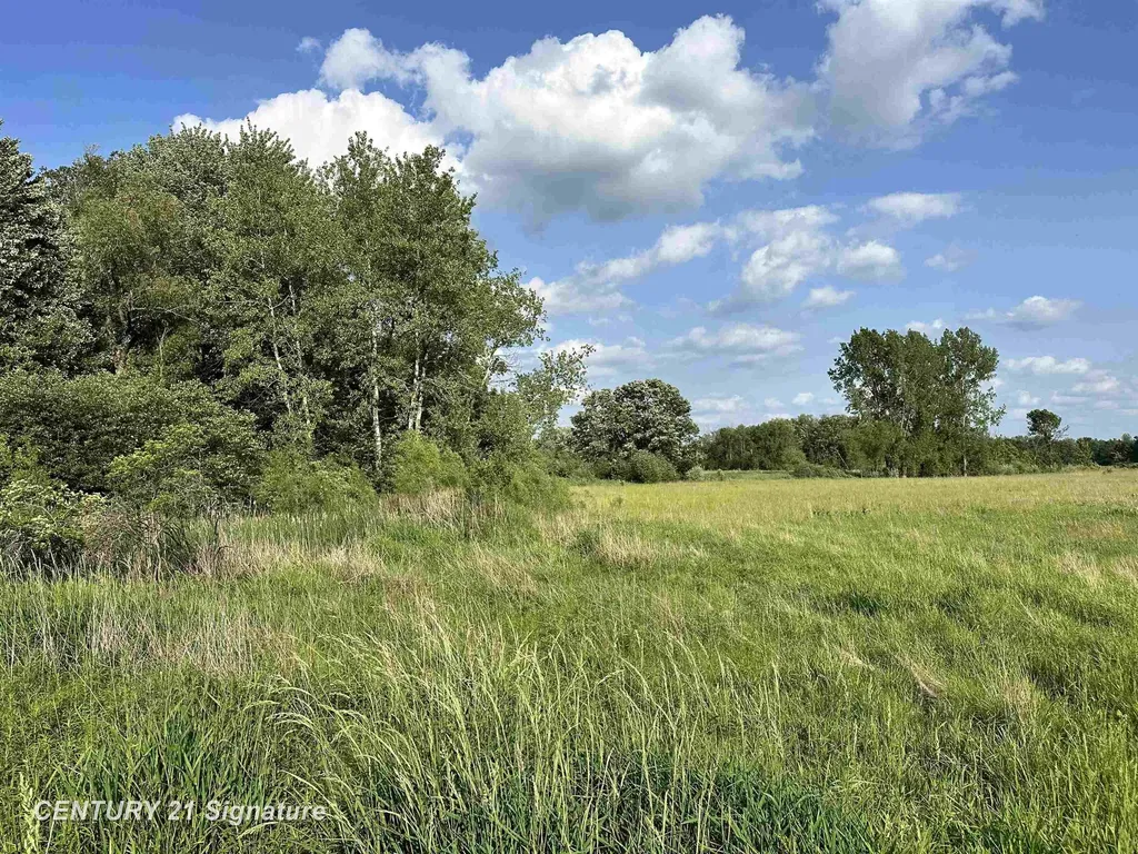 60 Estey Road Billings Township MI 48612