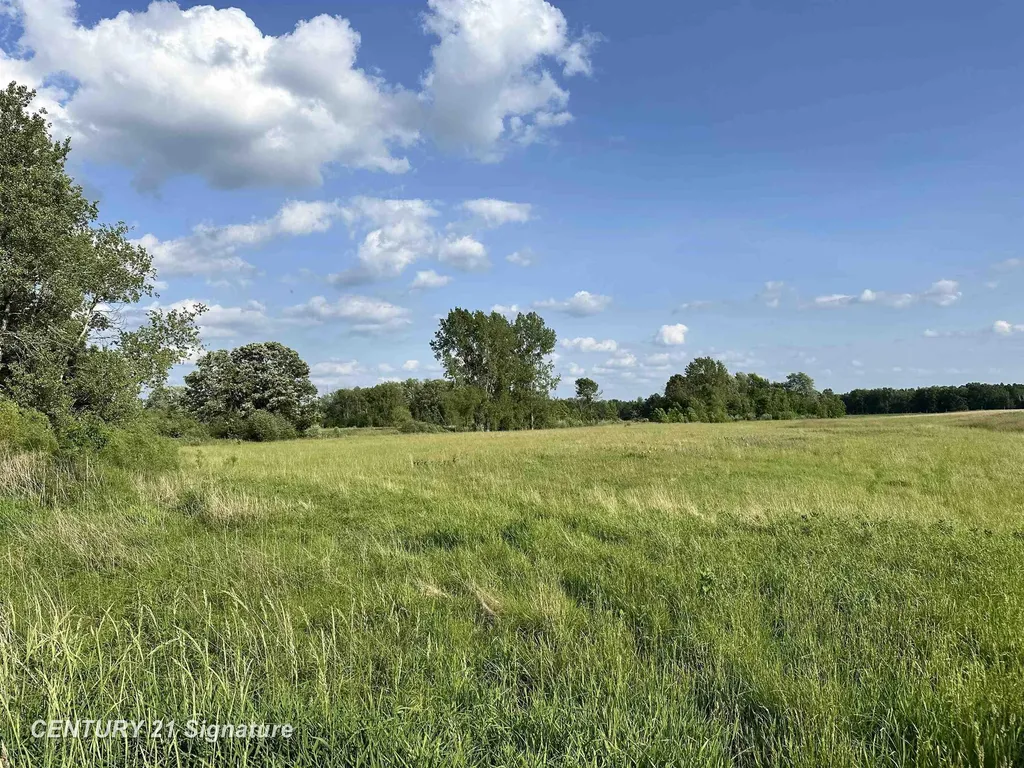 60 Estey Road Billings Township MI 48612