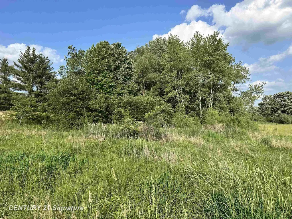 60 Estey Road Billings Township MI 48612