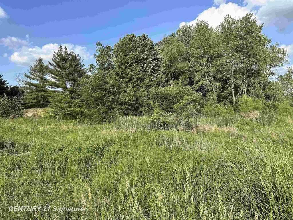 60 Estey Road Billings Township MI 48612