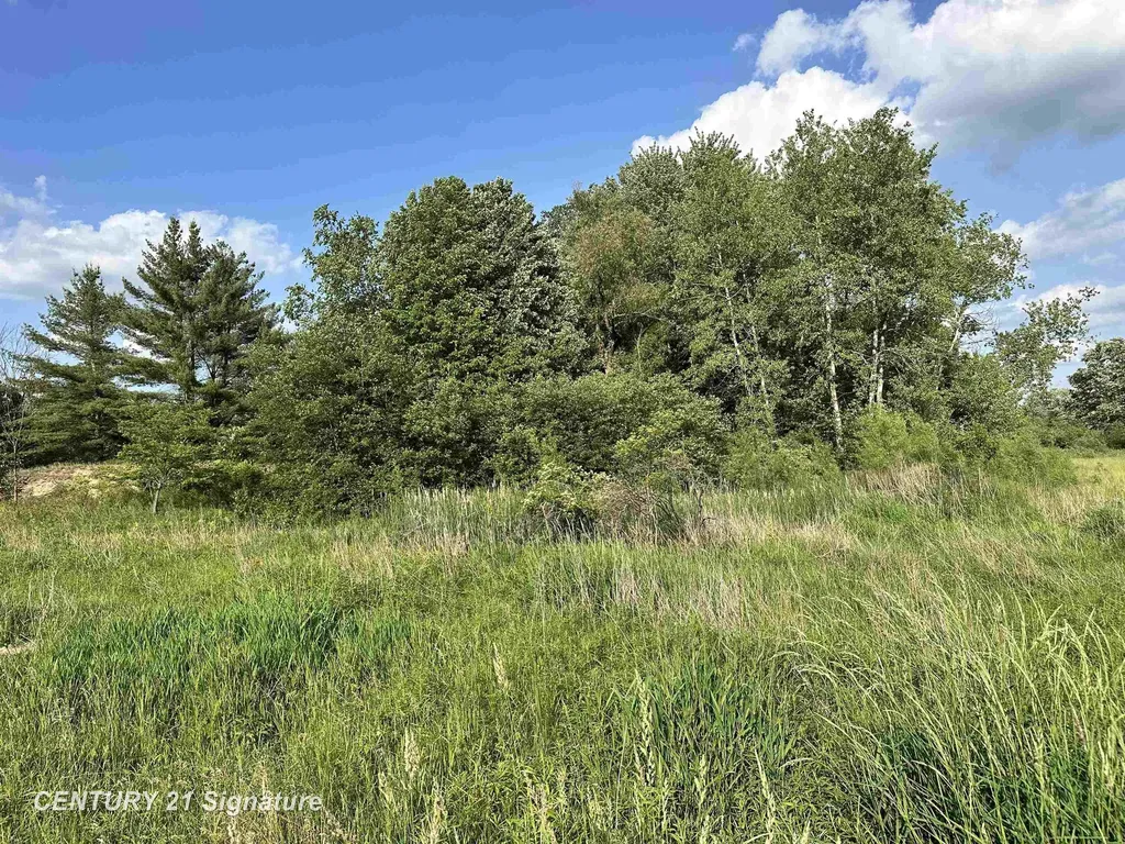 60 Estey Road Billings Township MI 48612