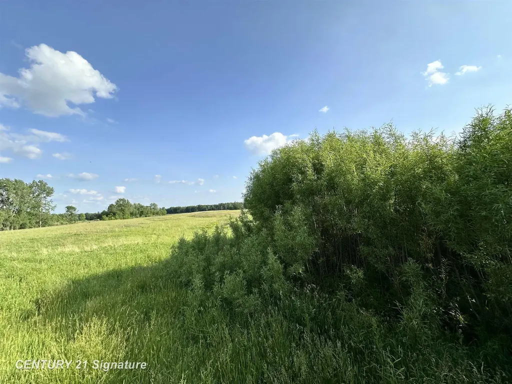 60 Estey Road Billings Township MI 48612
