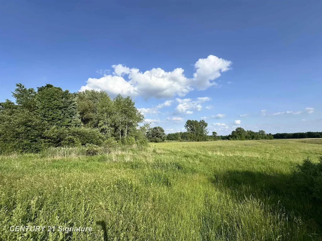 60 Estey Road Billings Township MI 48612