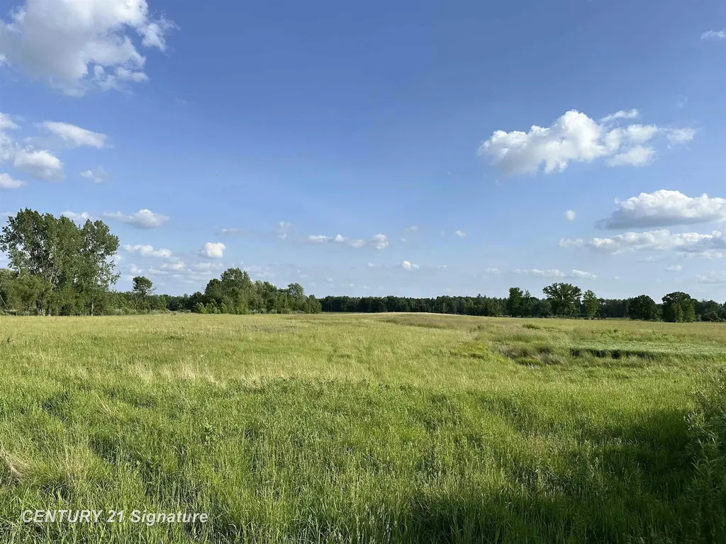 60 Estey Road Billings Township MI 48612