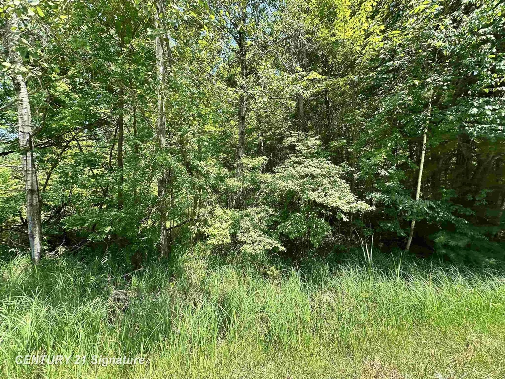 Vl Pinconning Road Billings Township MI 48612