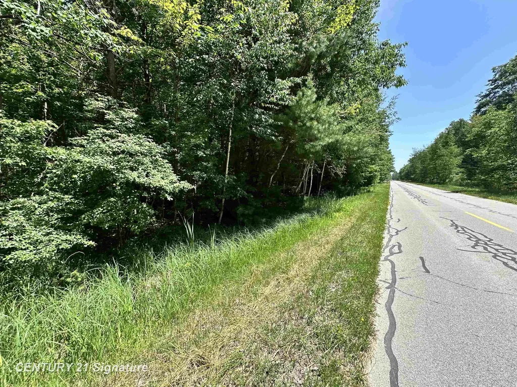 Vl Pinconning Road Billings Township MI 48612