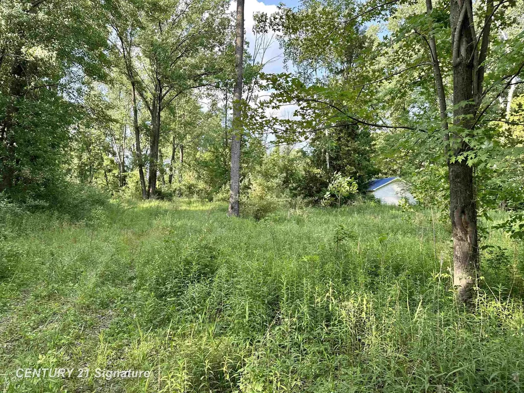 4020 Wieman Road Billings Township MI 48612