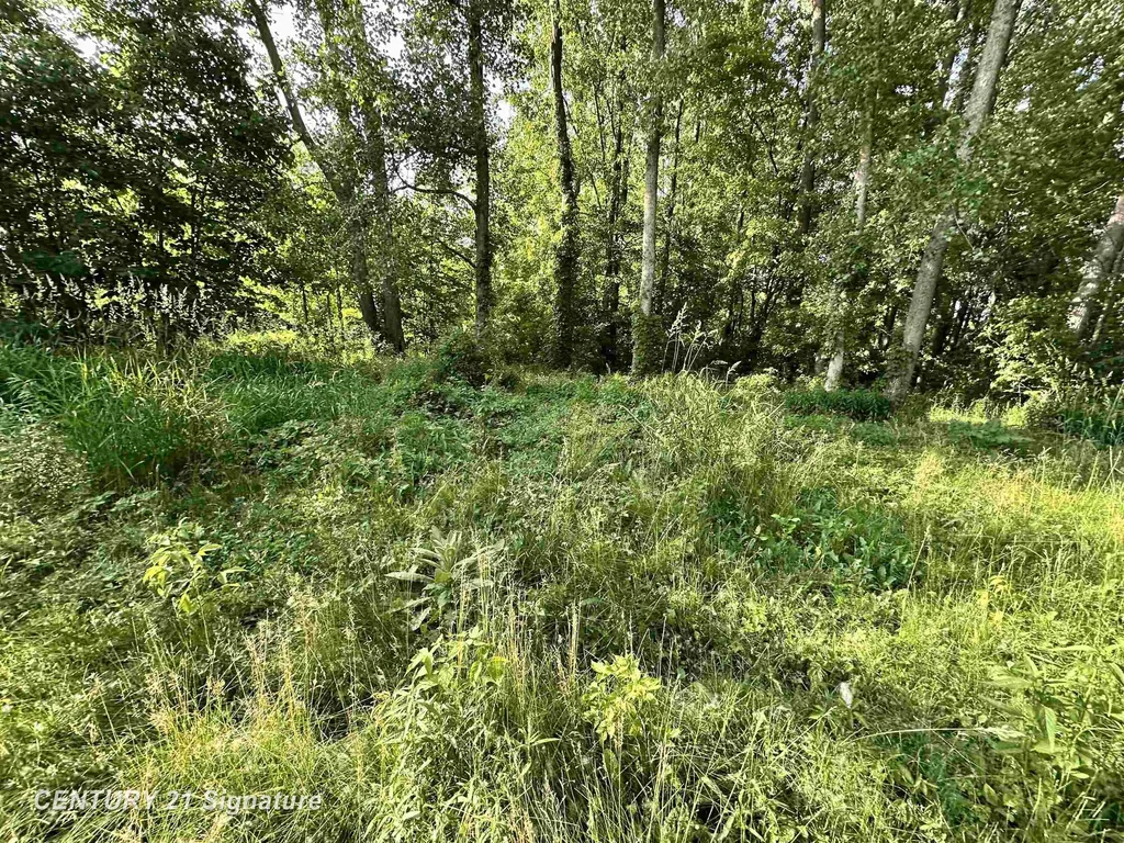 4020 Wieman Road Billings Township MI 48612