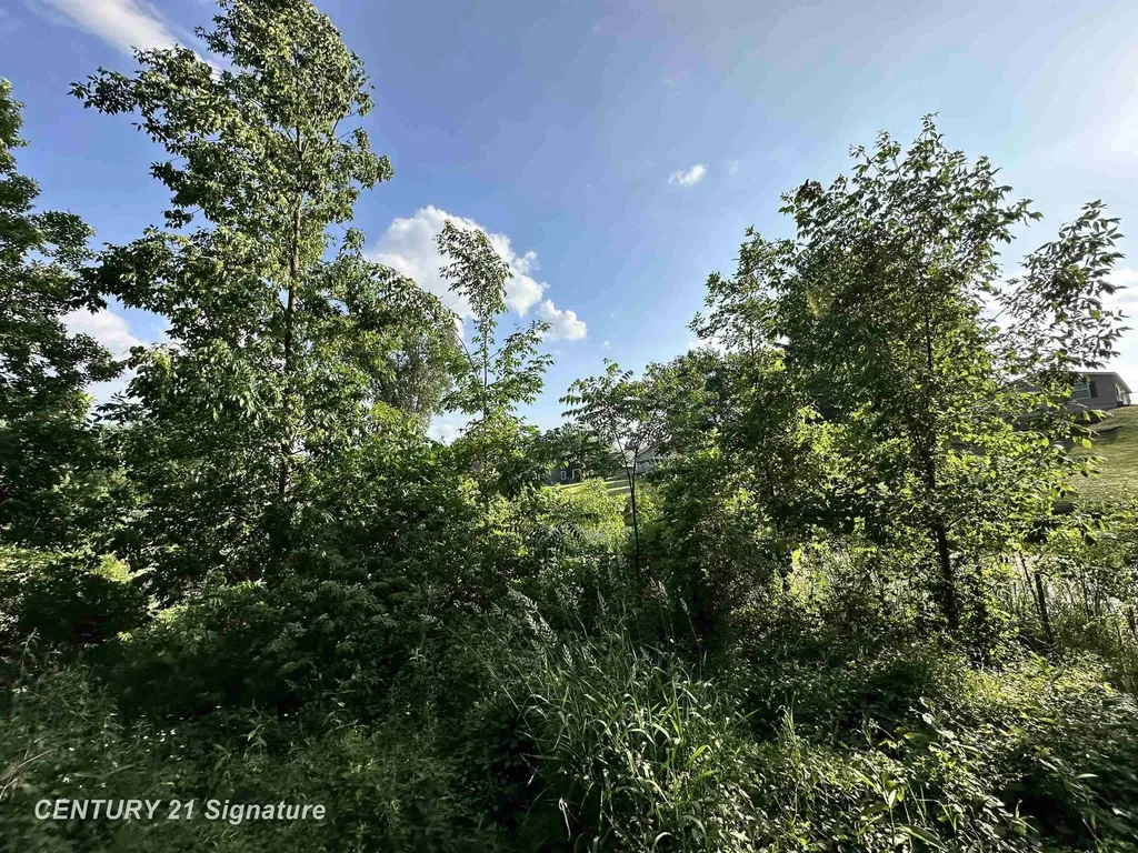 4020 Wieman Road Billings Township MI 48612