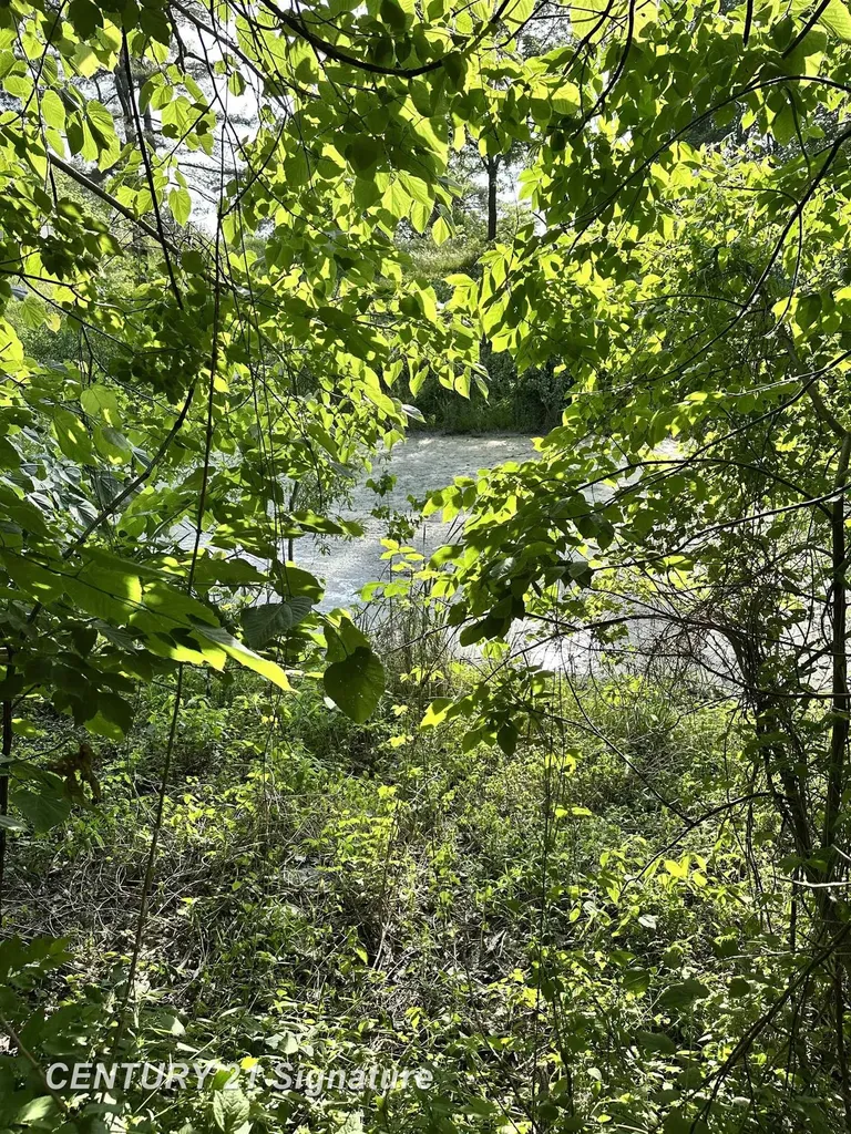 4020 Wieman Road Billings Township MI 48612