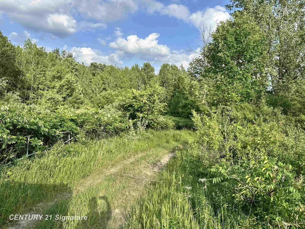 4020 Wieman Road Billings Township MI 48612