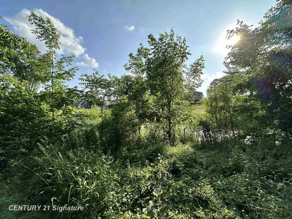 4020 Wieman Road Billings Township MI 48612