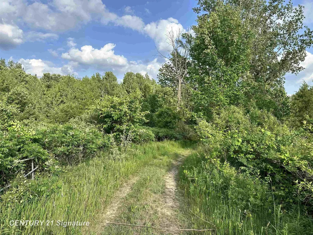 4020 Wieman Road Billings Township MI 48612