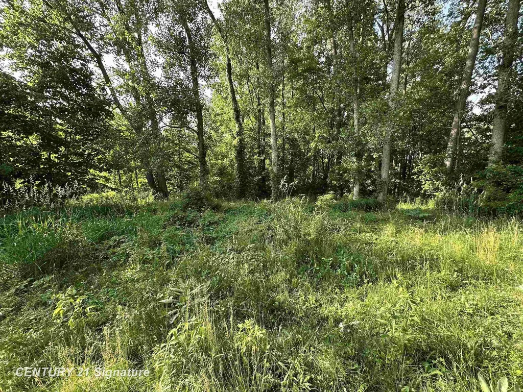 4020 Wieman Road Billings Township MI 48612