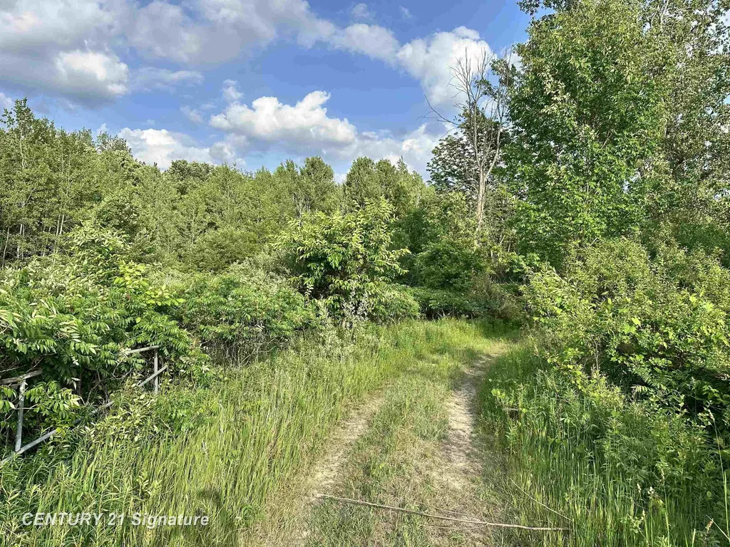 4020 Wieman Road Billings Township MI 48612