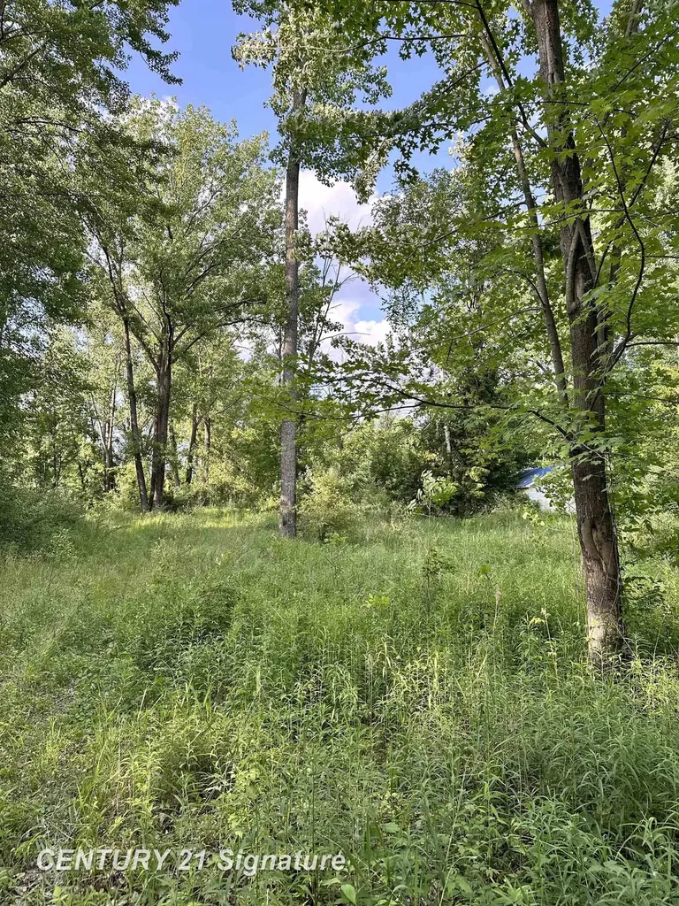 4020 Wieman Road Billings Township MI 48612