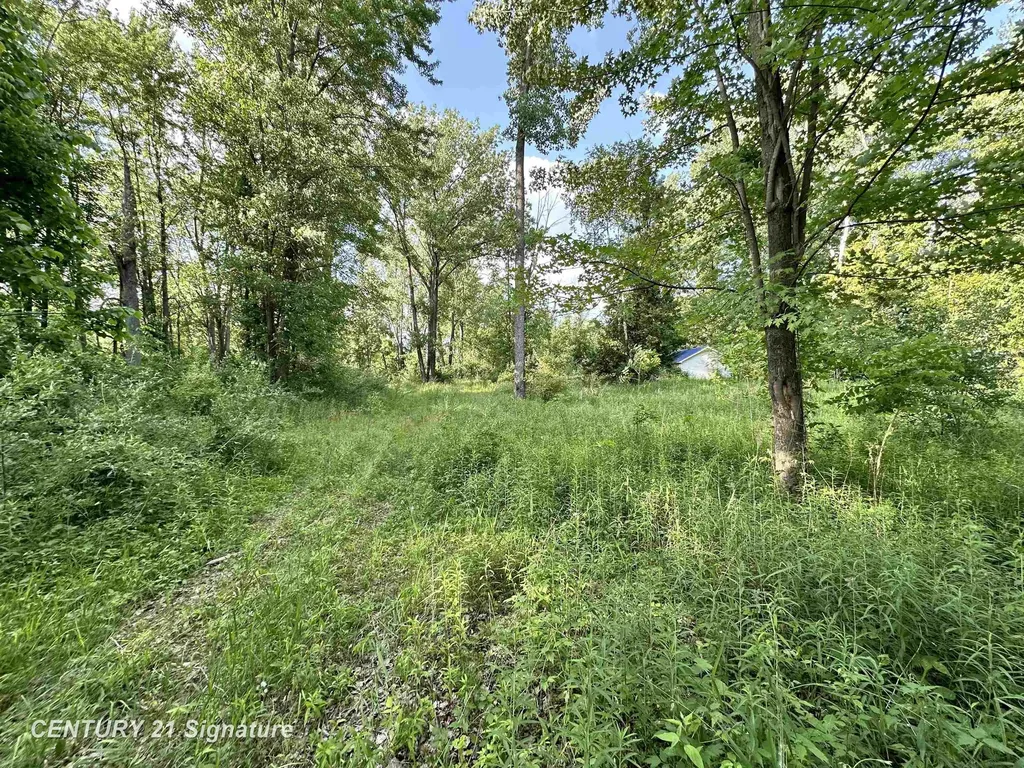 4020 Wieman Road Billings Township MI 48612