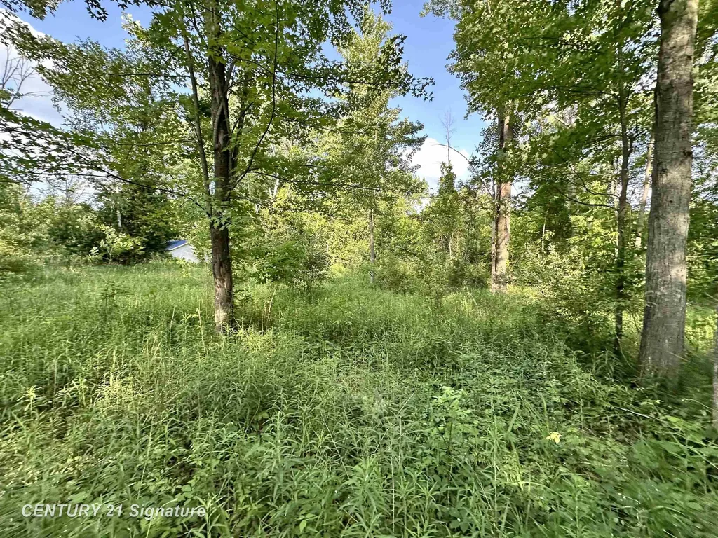 4020 Wieman Road Billings Township MI 48612