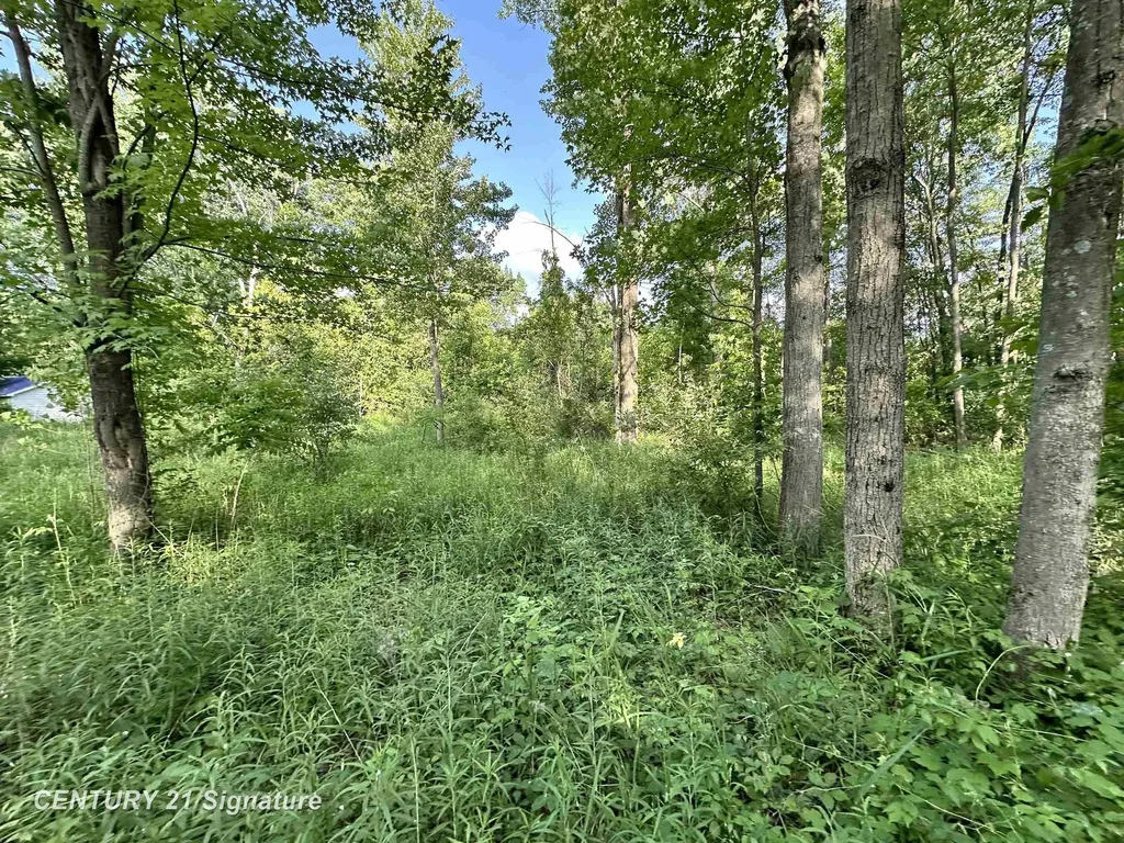 4020 Wieman Road Billings Township MI 48612