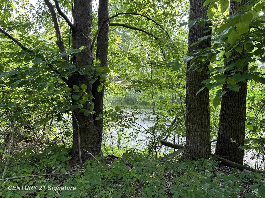 4020 Wieman Road Billings Township MI 48612