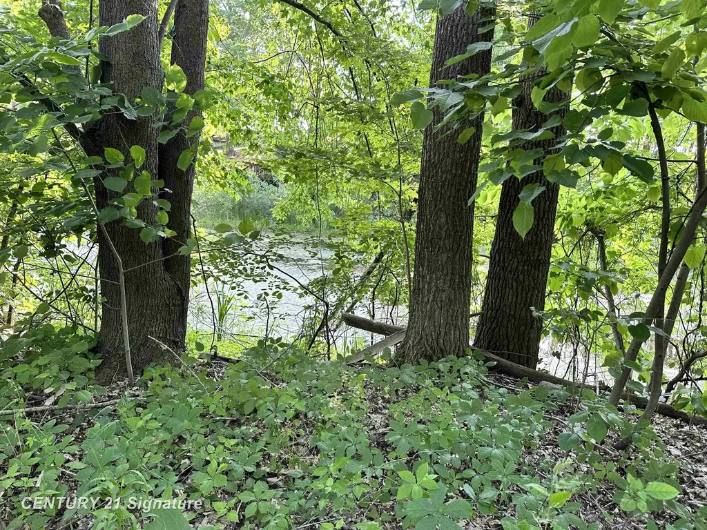 4020 Wieman Road Billings Township MI 48612