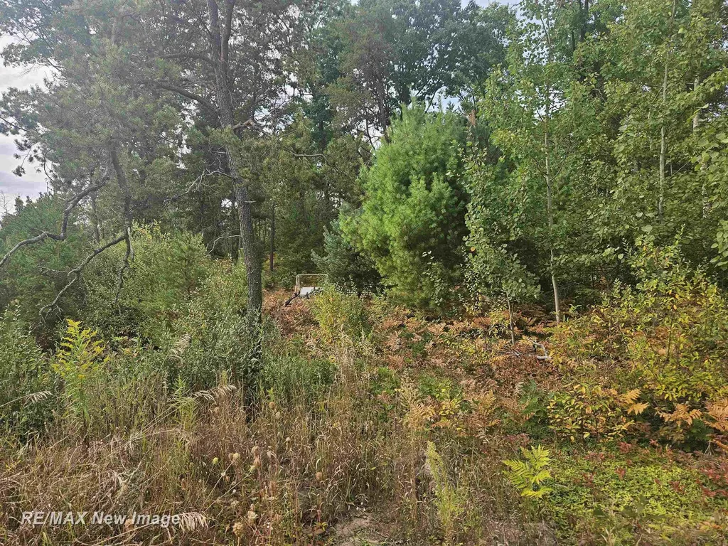 200 W Park Road Hayes Township MI 48625