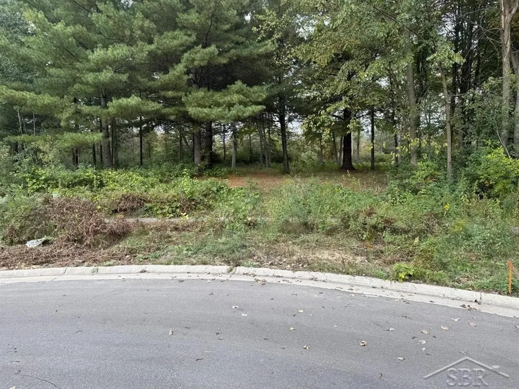 6210 Evergreen Court Midland City MI 48642