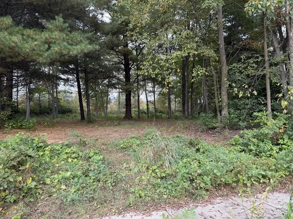 6210 Evergreen Court Midland City MI 48642