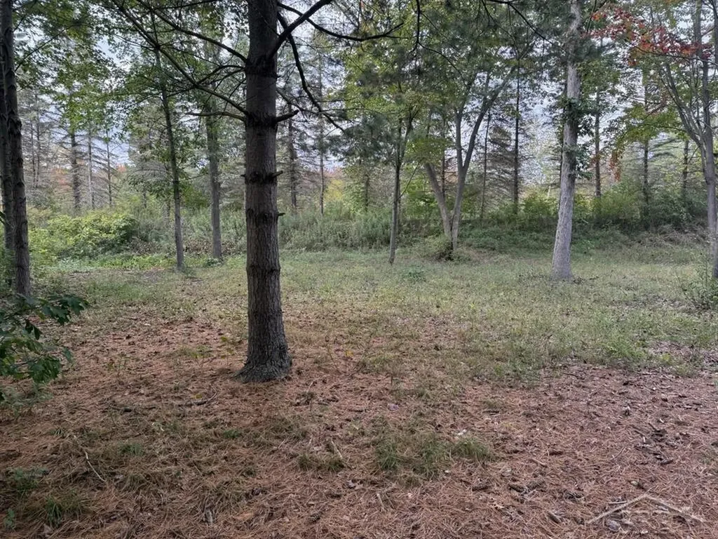 6210 Evergreen Court Midland City MI 48642