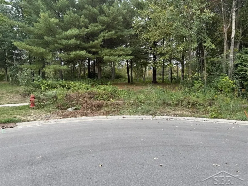 6210 Evergreen Court Midland City MI 48642