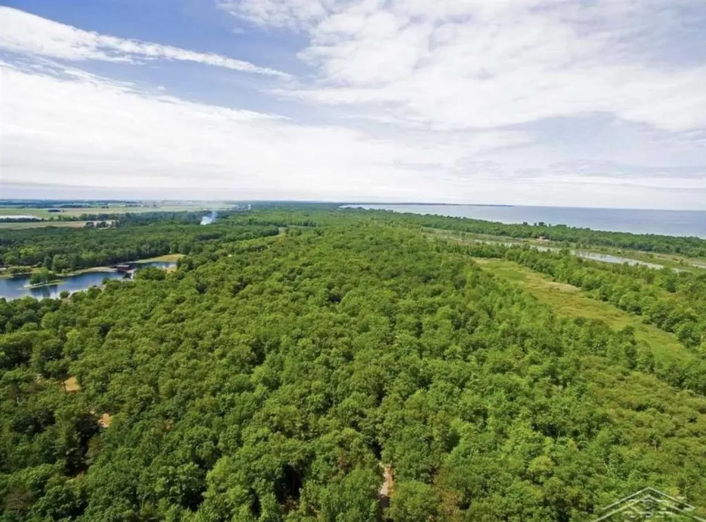 0 Gagetown Road Caseville Township MI 48725