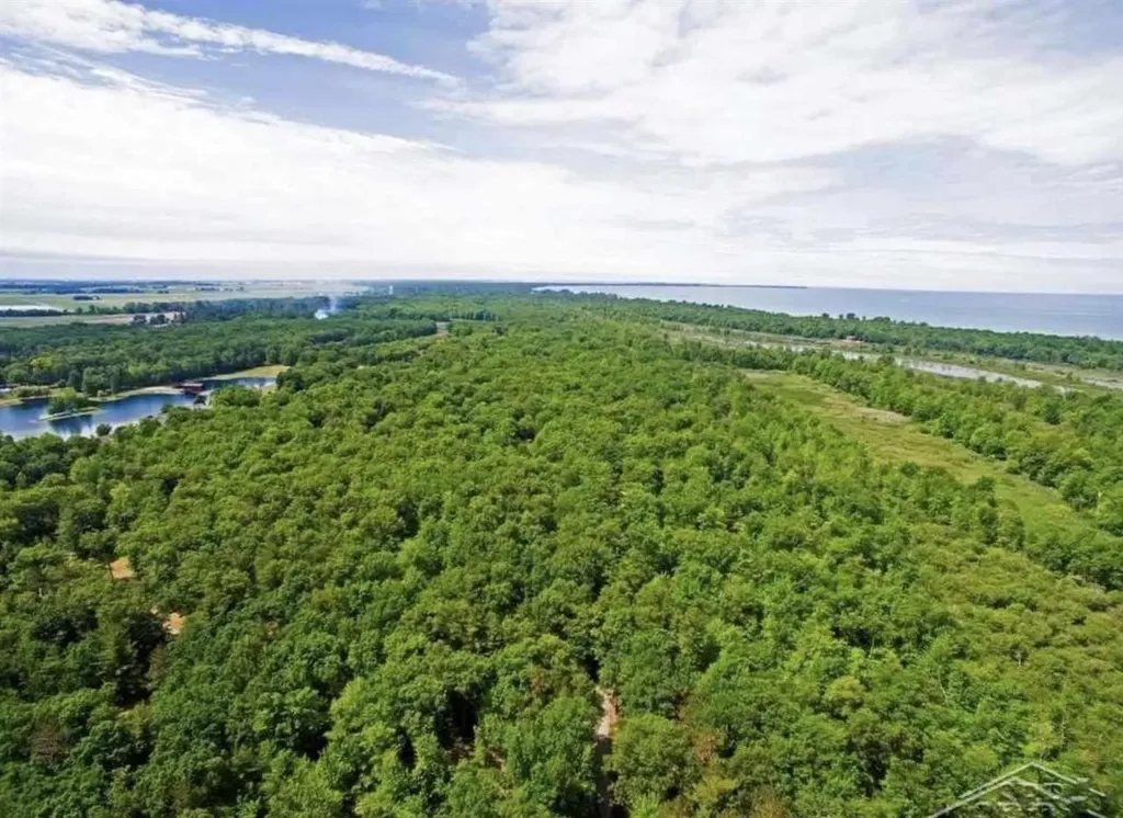 0 Gagetown Road Caseville Township MI 48725