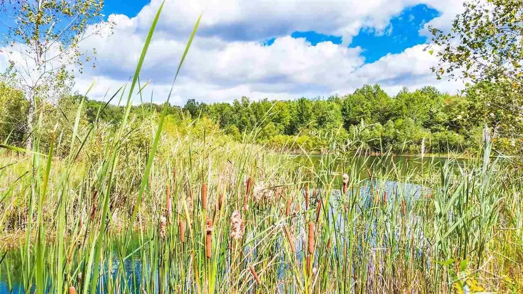 16600 Ederer Road Richland Township MI 48626