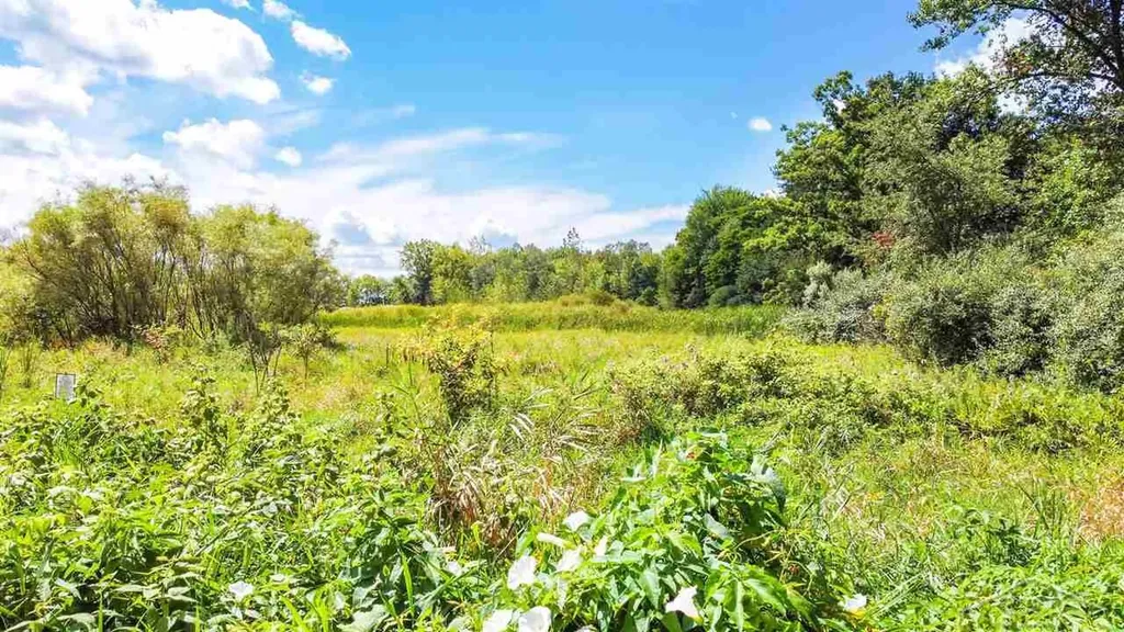16600 Ederer Road Richland Township MI 48626