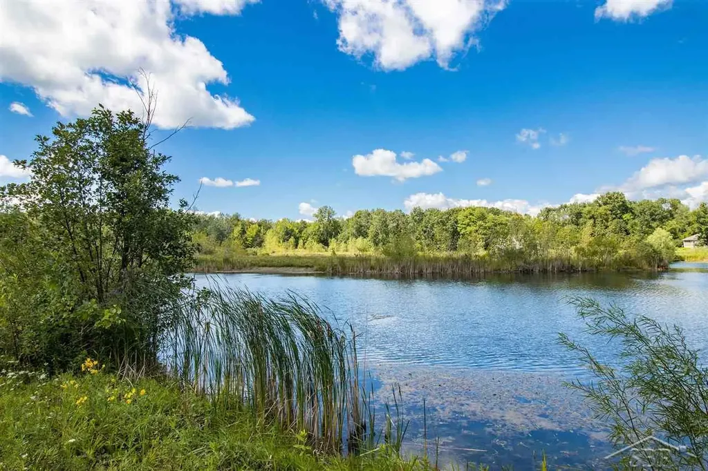 16600 Ederer Road Richland Township MI 48626