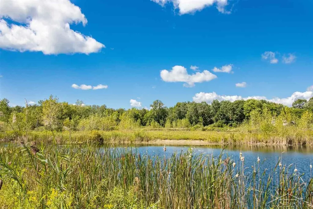 16600 Ederer Road Richland Township MI 48626