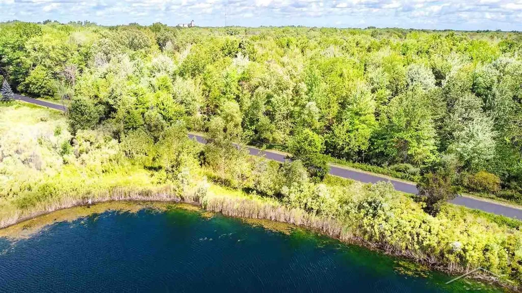 16600 Ederer Road Richland Township MI 48626