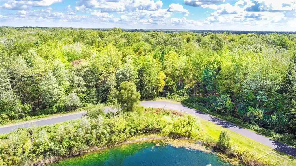 16600 Ederer Road Richland Township MI 48626