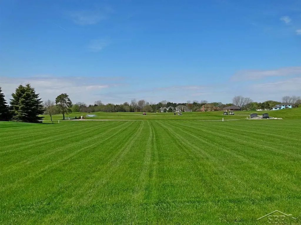 23 E Grove Lot Court Thomas Township MI 48623