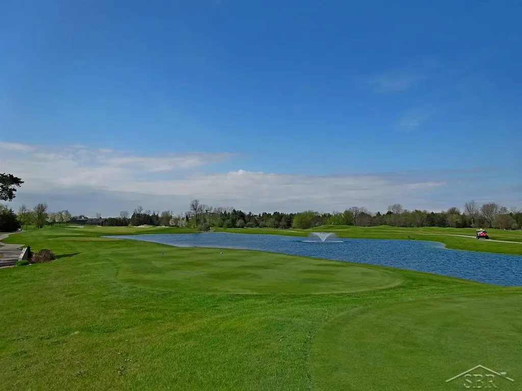23 E Grove Lot Court Thomas Township MI 48623