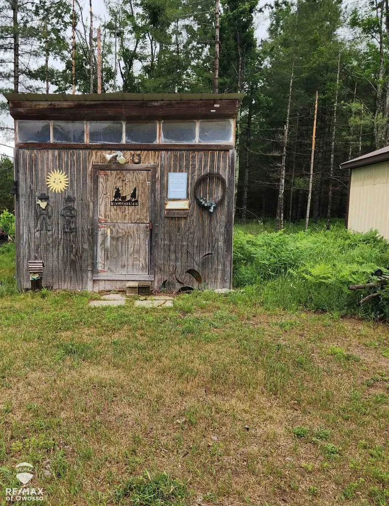 6800 Birch Valley Trail Corwith Township MI 49795