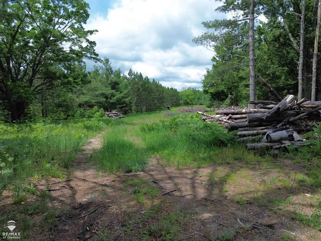6800 Birch Valley Trail Corwith Township MI 49795