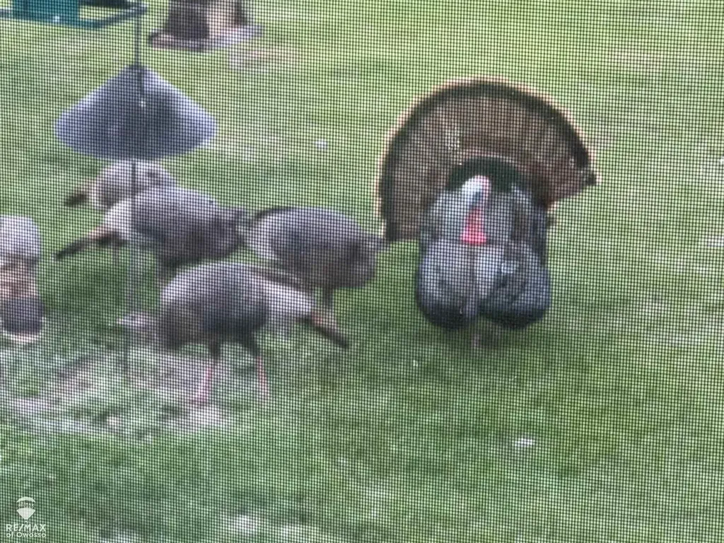 6800 Birch Valley Trail Corwith Township MI 49795