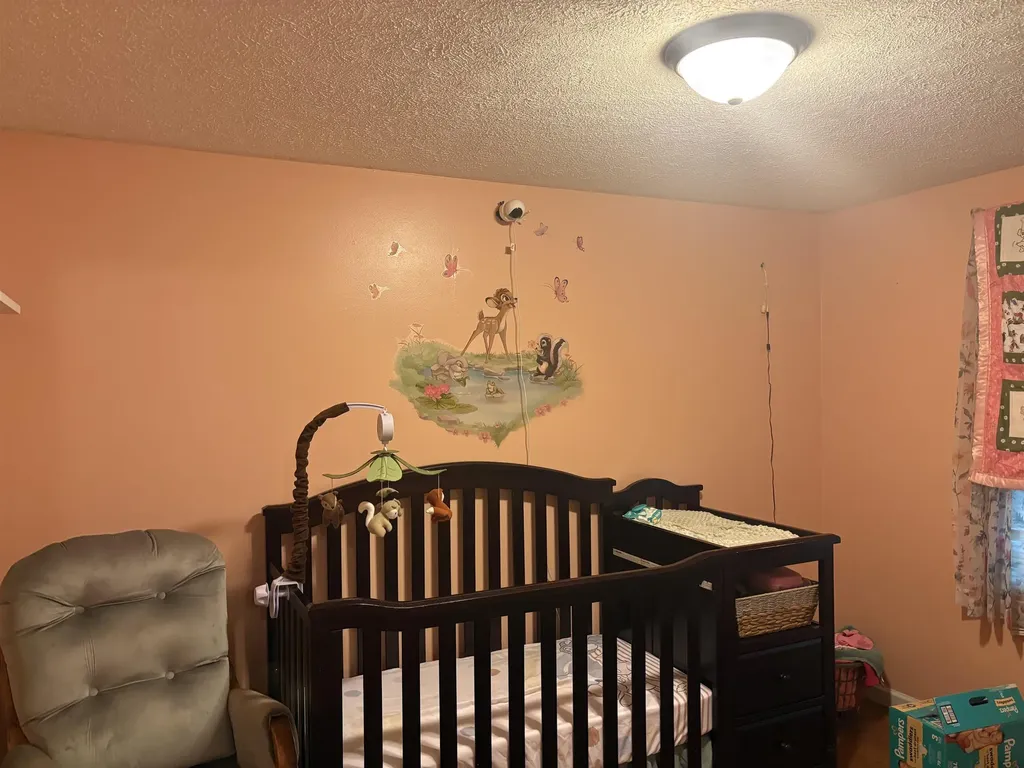 15887 S Hemlock Road Brady Township MI 48649