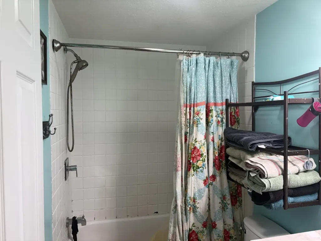 15887 S Hemlock Road Brady Township MI 48649