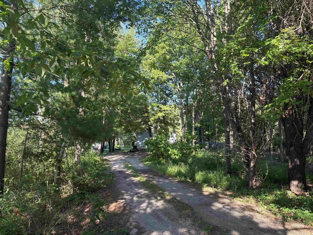15887 S Hemlock Road Brady Township MI 48649