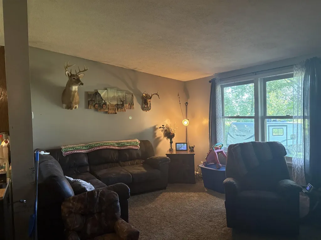 15887 S Hemlock Road Brady Township MI 48649