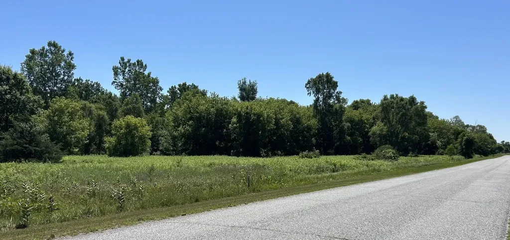15581 Stuart Road Chesaning Township MI 48616