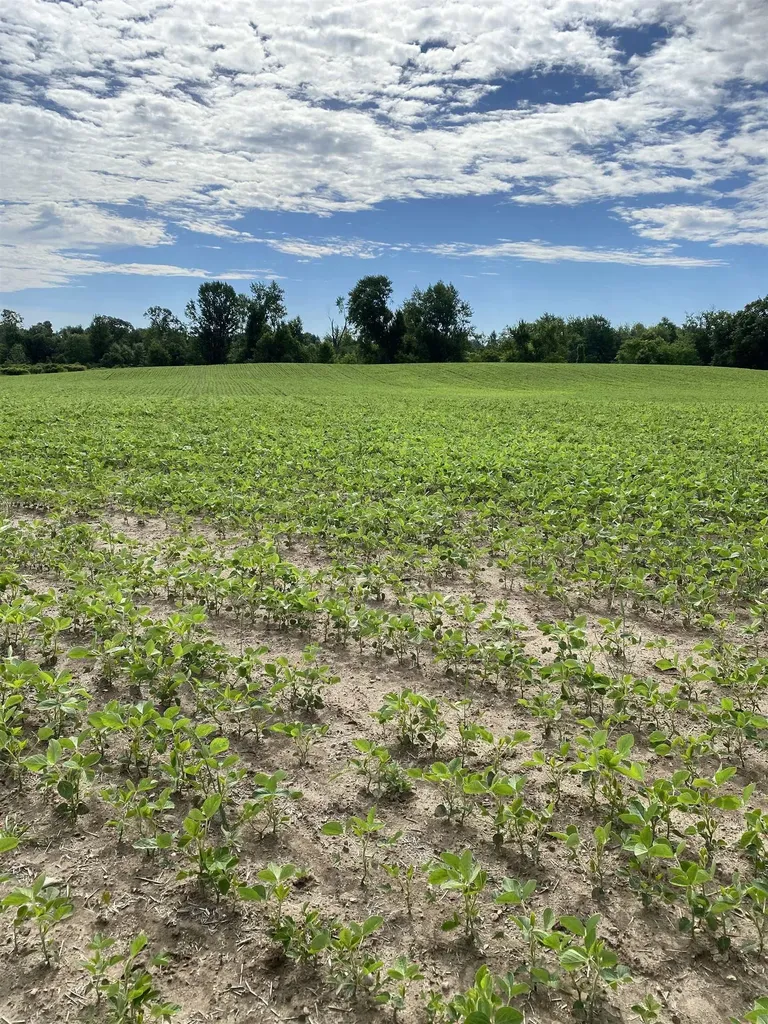 0 Elm (parcel B) Road Leroy Township MI 48892